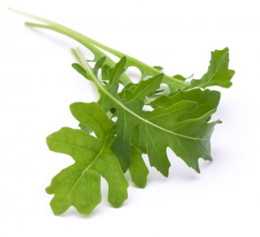 Yeşil taze rucola yaprakları