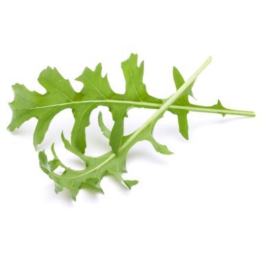 Yeşil taze rucola yaprakları 