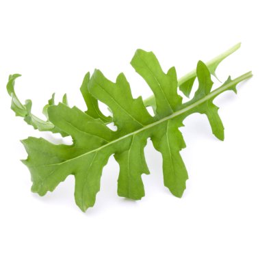 Yeşil taze rucola yaprakları