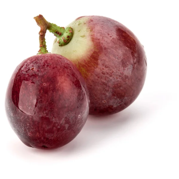 红葡萄浆果束 — 图库照片