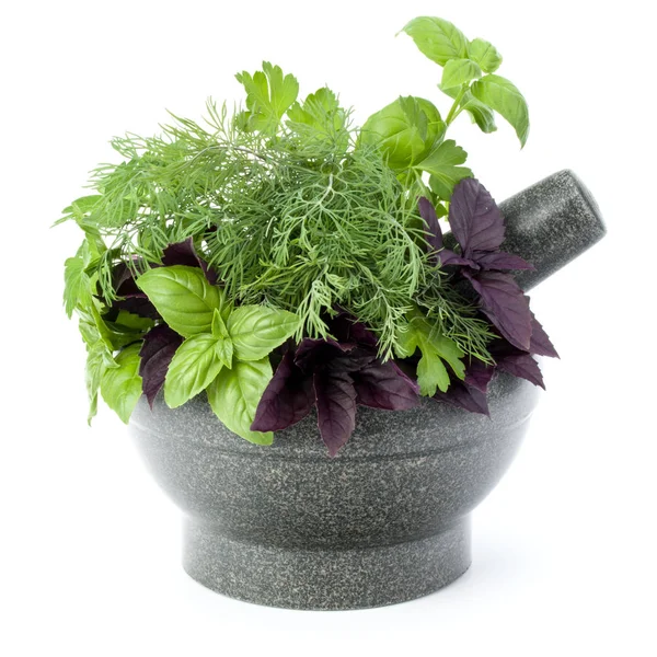 Taze baharatlar ve bitkiler. 