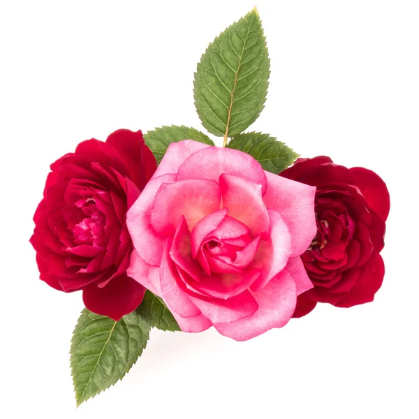 레드와 핑크 장미 꽃 꽃다발 — 스톡 사진