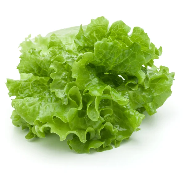 Frunze proaspete de salată verde — Fotografie, imagine de stoc