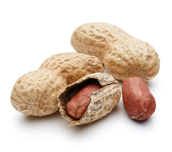 Peanut pod or arachis — Stock Photo, Image