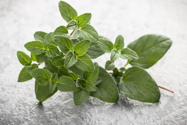 Siyah taş kekik yaprakları