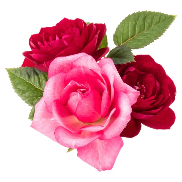 Ramo de flores de rosa roja y rosa — Foto de Stock