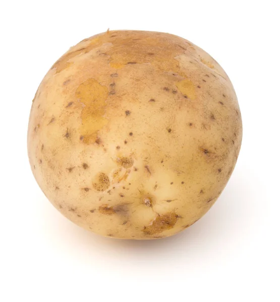 Nya potatis rotsaker — Stockfoto