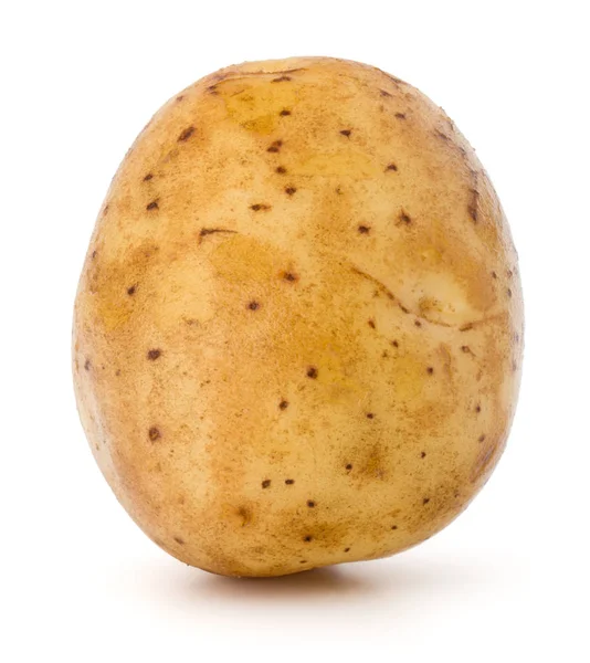 New potato tuber — Stock Photo, Image