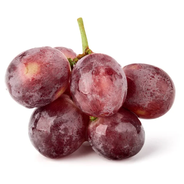 Red grape berry bunch — Stock Photo, Image