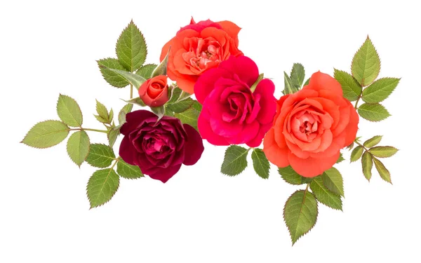 Colorful rose flower bouquet — Stock Photo, Image