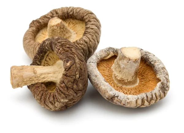 Cogumelos shiitake secos — Fotografia de Stock