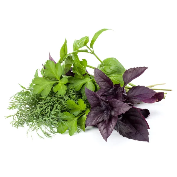 Taze baharatlar ve bitkiler. 