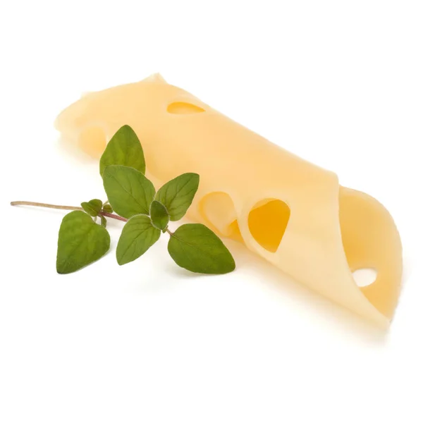 Plátek sýr s oregánem — Stock fotografie
