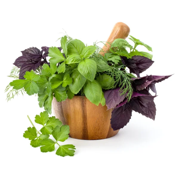 Taze baharatlar ve bitkiler. 