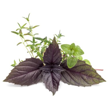 Çeşitli taze ot bırakır 