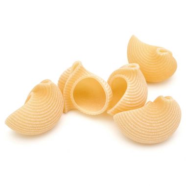 İtalyan lumaconi beyaz izole 