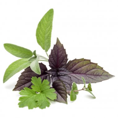 Çeşitli taze ot bırakır 