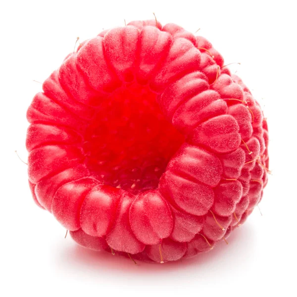 Olgun ahududu üzerinde beyaz izole