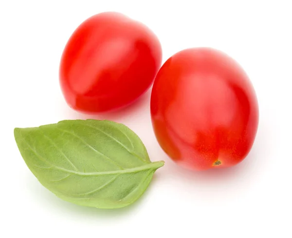 Čerstvá švestka rajčata s lístkem bazalky — Stock fotografie