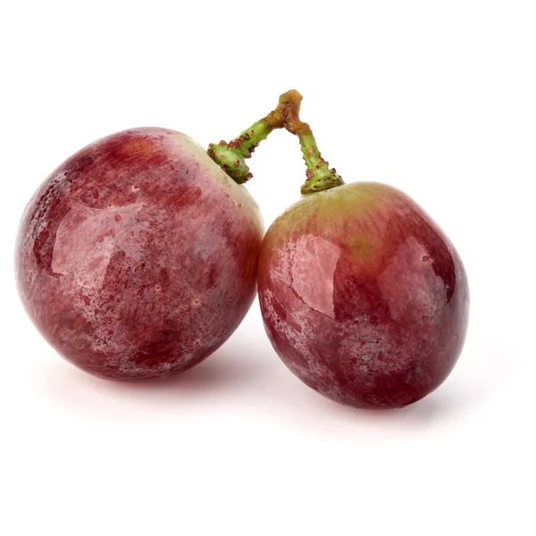 Anggur merah berry bunch — Stok Foto
