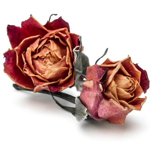 kurutulmuş gül çiçek başları