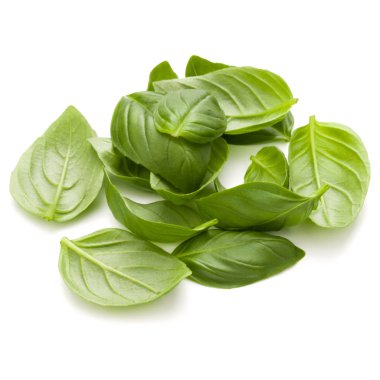 Fesleğen bitki yaprakları 