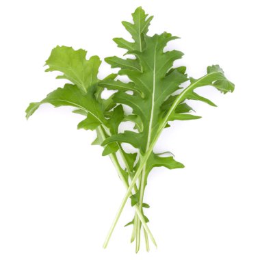 Taze rucola yaprakları yeşil Studio atış kapatın 