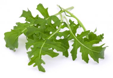 Taze rucola yaprakları yeşil Studio atış kapatın