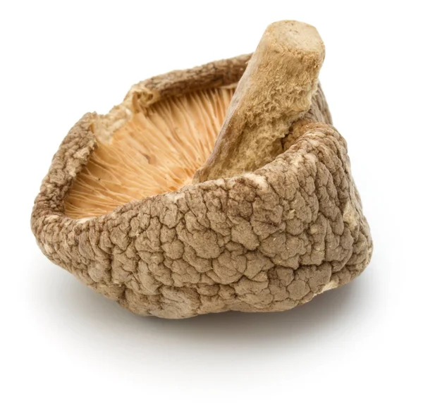 Funghi shiitake secchi — Foto Stock