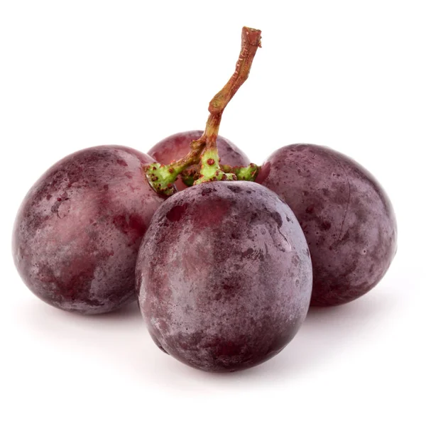 Bagas de uva vermelha cacho isolado em branco — Fotografia de Stock