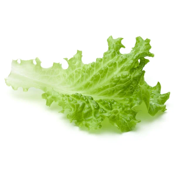 Frische grüne Salatblätter — Stockfoto