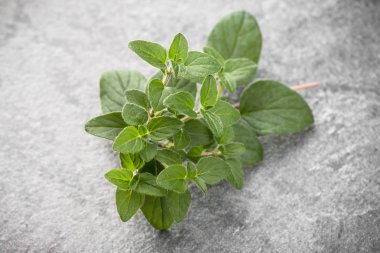 Siyah arka plan üzerinde kekik yaprakları. 