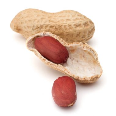 açılmış ve bütün fıstık