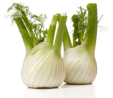 Taze rezene Ampüller