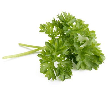 taze maydanoz bitki yaprakları