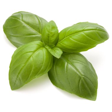 Fesleğen bitki yaprakları