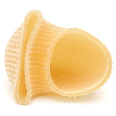 İtalyan lumaconi beyaz izole 