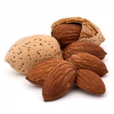 Badem fındık kabuklarında