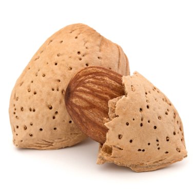 Badem fındık kabuklarında