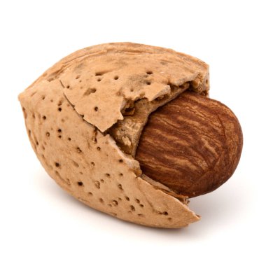 Badem fındık kabuğu 