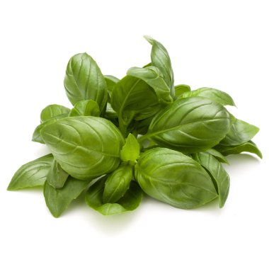 Demet fesleğen bitki yaprakları