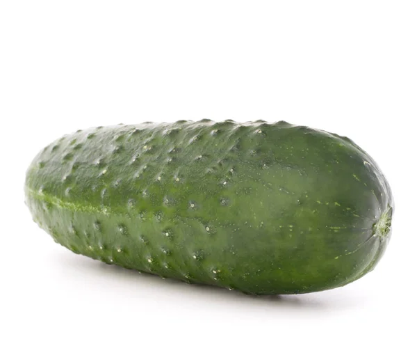 Pepino vegetal isolado — Fotografia de Stock