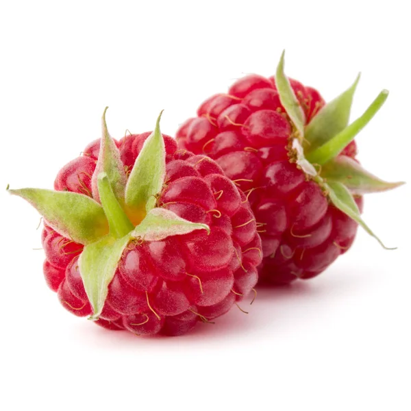 Reife Himbeeren isoliert auf weiß — Stockfoto