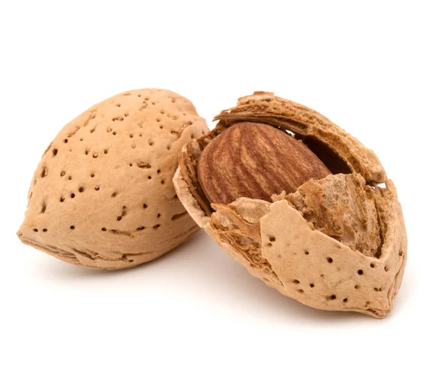 Badem fındık kabuklarında