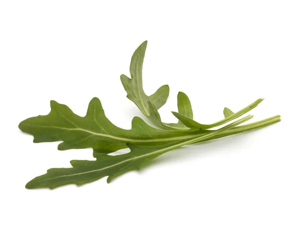 Foglie di lattuga rucola — Foto Stock