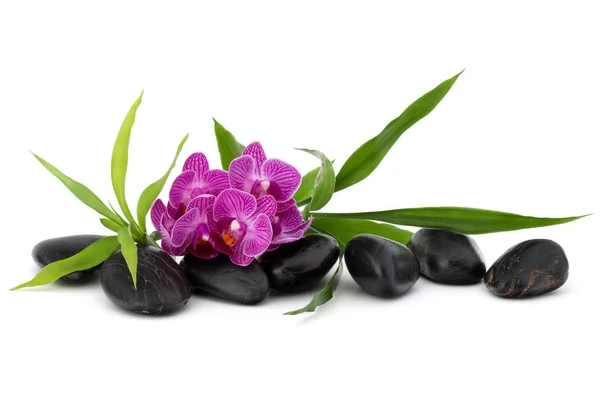 Galets zen et fleurs d'orchidées . — Photo