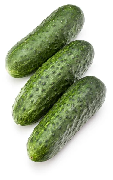 Legumbres de pepino aisladas — Foto de Stock