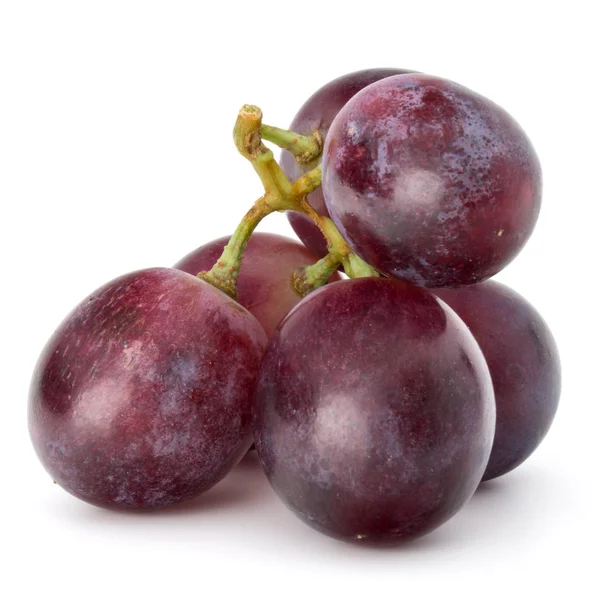 Red grapes isolated — Stock Photo, Image