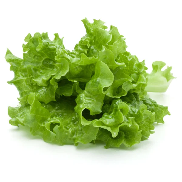 Foglie fresche di insalata di lattuga verde — Foto Stock