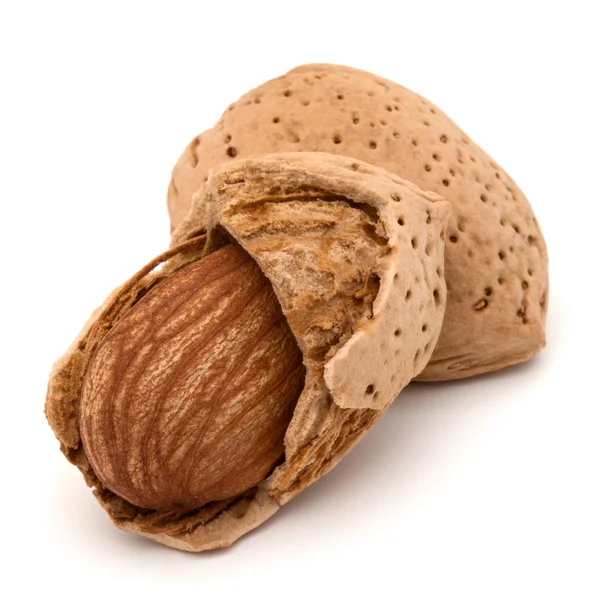 Almond nut in shells — Stock Photo, Image